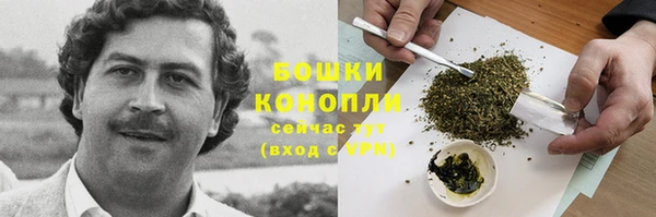 амф Новозыбков