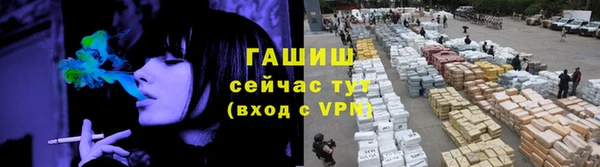 амф Новозыбков