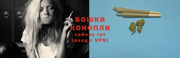 амф Новозыбков