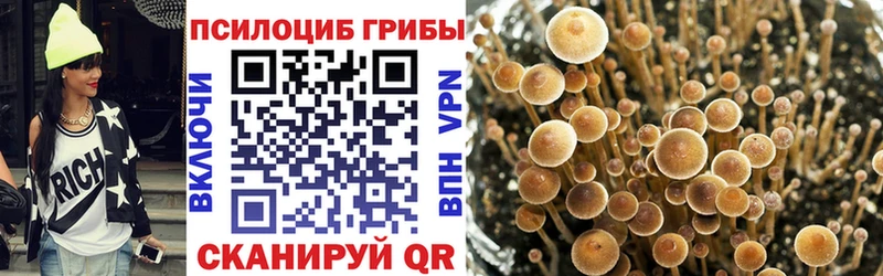 купить   это формула  Псилоцибиновые грибы Psilocybine cubensis  Туапсе 